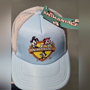 NWT Animaniacs Cartoon Warner Bros Trucker Mesh Light Blue Flat Snapback Hat